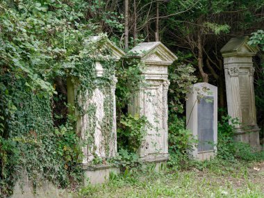 Terk Edilmiş Bir Mezarlıkta Fazla Gelişmiş Neoklasik Yahudi Mezar Taşları