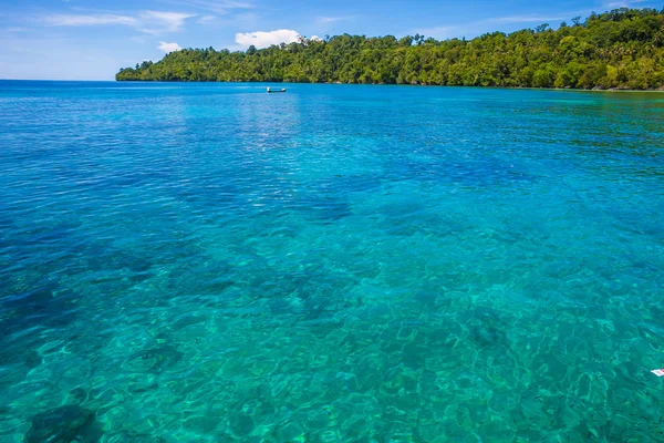 Foto di Man Driving Natural Wood Long Tail Boat Caraibi Ocean. Acqua limpida e cielo azzurro con nuvole. Orizzonte . — Foto Stock