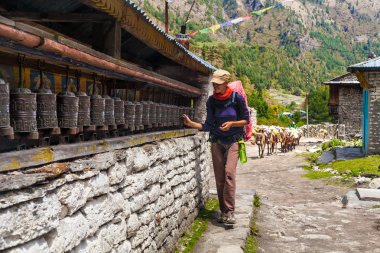 Young Woman Wearing Backpack Trekking Touching Tibetan prayer Wheels or Prayers Rolls Faithful Buddhists.Caravan Animal Donkeys Loaded Bags Background.Himalaya Village Mountains. Horizontal Photo. clipart