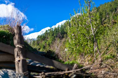 Sunny Day Dağları Doğa Sabah Hill Viewpoint.Mountain Trekking Manzara altında. Kimse fotoğrafı yok. Yatay resim. Bulutlu Mavi Gökyüzü.