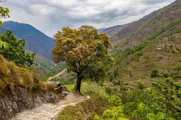 Vistas al Paisaje Montañas Senderismo Himalayas.Beautiful Final Temporada de Verano Fondo. Fotografía Horizontal. Verde Tres Nublado Cielo Terrazas Montañosas. . — Foto de Stock