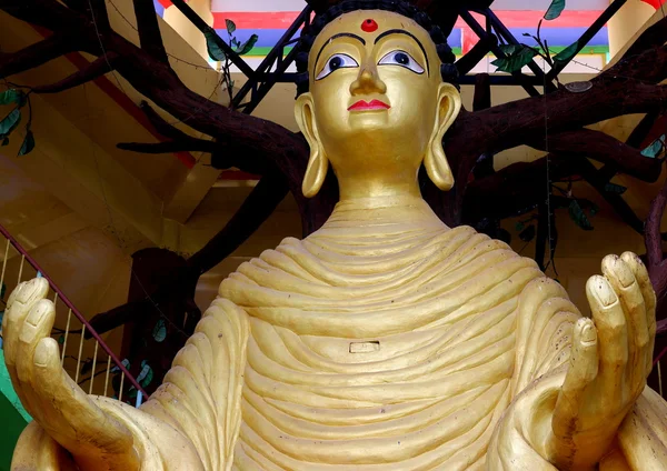 Buda tüzük bir Tibet Tapınak