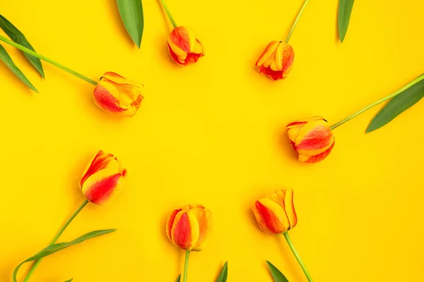 Buquê de tulipas de primavera de cor no fundo amarelo — Fotografia de Stock