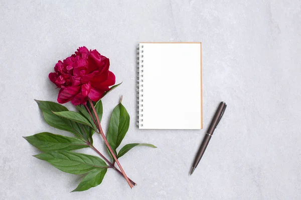 Flores de peonía y cuaderno vacío para planificar o desear — Foto de Stock