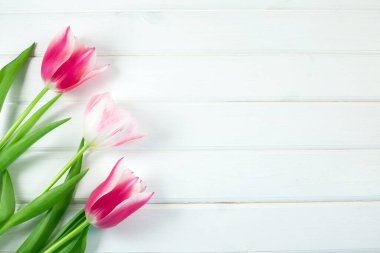 Beyaz ahşap zemin üzerinde güzel renkli laleler.