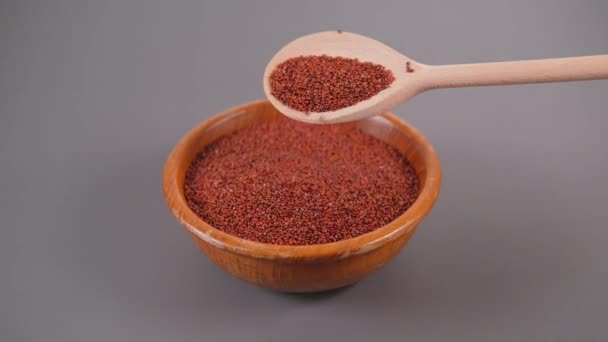 En träskål med rå röd Quinoa med en sked på nära håll. — Stockvideo