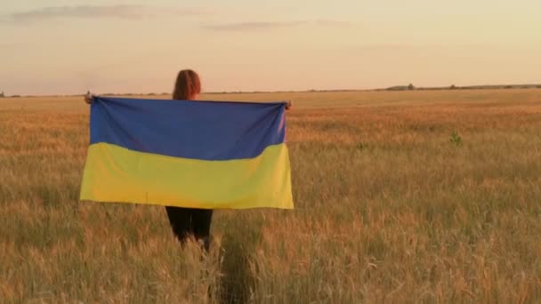 Украинка машет флагом во время бега по пшеничному полю на закате. — стоковое видео