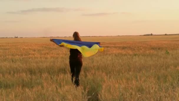 Ukrainska flicka viftar flaggan när du kör i vetefältet vid solnedgången. — Stockvideo
