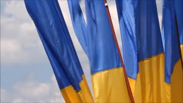 Bandera de Ucrania Amarillo azul — Vídeos de Stock