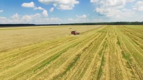 Maaimachine in het veld — Stockvideo