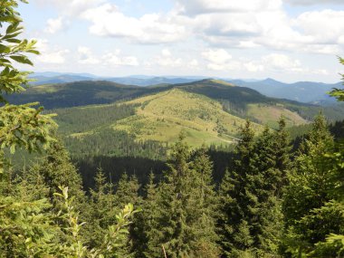 Ukrayna Karpatları 'ndaki Chivchino Grinyavski Dağları