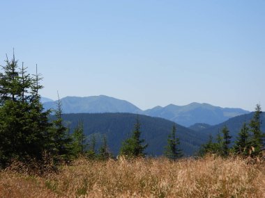 Romanya Dağları Ukrayna 'nın Chivchino-Grynyavsky Dağları' ndan görüldüğü gibi 
