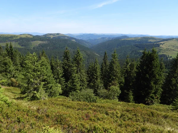 Ukrayna Karpatları 'ndaki Chivchino Grinyavski Dağları