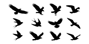 Sualtı yaşam siluetlerinden oluşan temiz bir vektör koleksiyonu bembeyaz üzerine izole edilmiş koyu siyah okyanus canlıları yüzen bir köpekbalığı, atlayan bir yunus balığı, deniz kaplumbağası manta vatozu ve ahtapot akvaryum markası ve yaz tasarımı için harika.