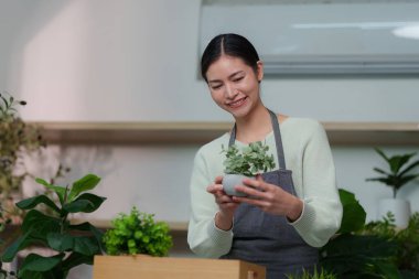 Neşeli bir kadın çiçek aranjmanı ve bahçe işleri için tutkusunu sergileyen küçük bir saksı bitkisine hayran..