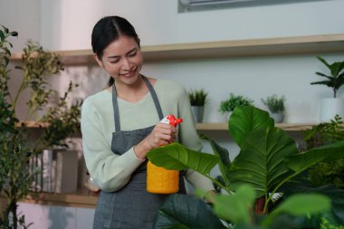 Genç bir kadın ev bitkilerinin üzerine neşeyle su püskürtür, sağlıklı büyümesini ve iç bahçesindeki canlı yeşilliği teşvik eder..