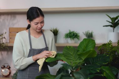 Bir kadın ev bitkisinin yapraklarını nazikçe siler, bahçeye ve bitki bakımına olan bağlılığını gösterir..