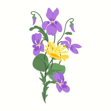 Mor viyola ve beyaz arka planda izole edilmiş canlı sarı bir papatya içeren taze bir bahar buketinin botanik vektör çizimi