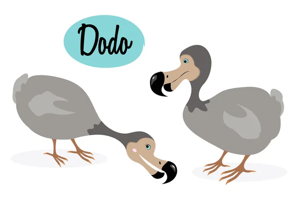 Illustration d'oiseau dodo gris . — Image vectorielle