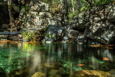 Kurumuş yapraklar sonbaharda suya düşer.