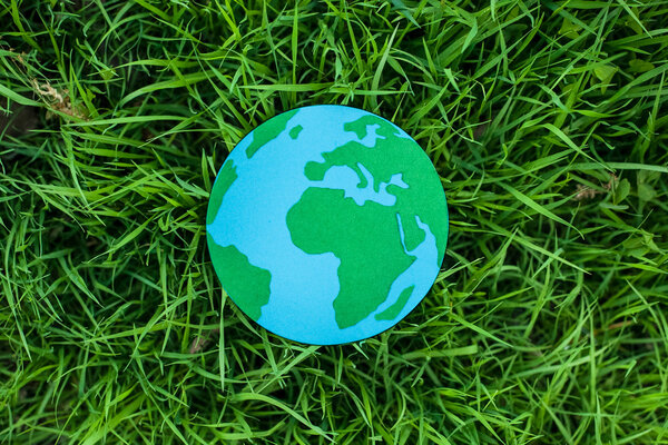 Eco symbol , globe on the grass