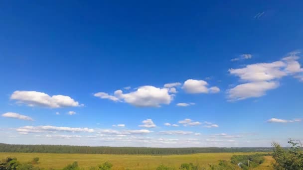Пухнасті білі хмари, що проходять через небо над полем проміжок часу, петля — стокове відео