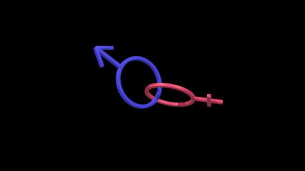 Weibliche und männliche Symbole rotieren gemeinsam auf einem transparenten Hintergrund, 4k prores footage, loop — Stockvideo