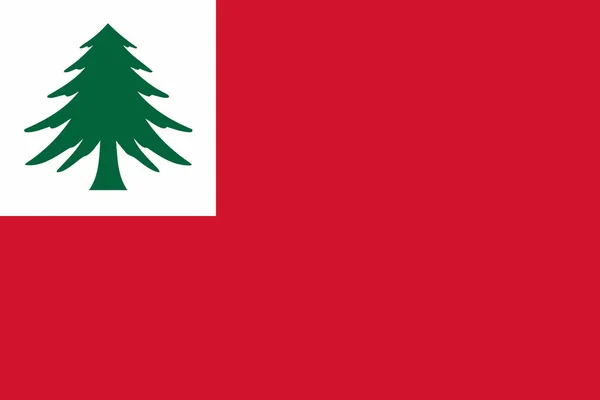 Bandeira Nova Inglaterra Proporções Cores Reais Imagem Vetorial — Vetor de Stock