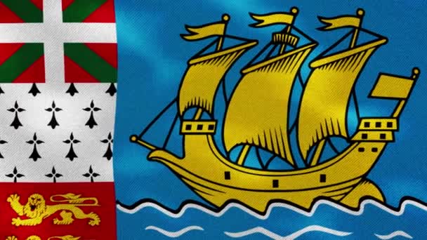San Pedro y Miquelón tejido de bandera densa oscila, bucle de fondo — Vídeos de Stock
