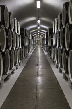 Massandra şarapları Crimea'da mahzenleri içinde şarap varil