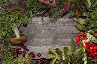 çerçeve sonbahar meyve, üvez, kızılcık ve yaprakları