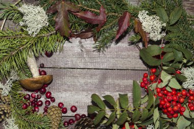 çerçeve sonbahar meyve, üvez, kızılcık ve yaprakları