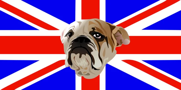 Cara de Bulldog Inglês em Union Jack — Vetor de Stock