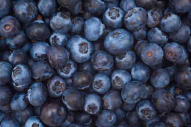 Arka plan olarak olgun yaban mersini. Üst görünüm