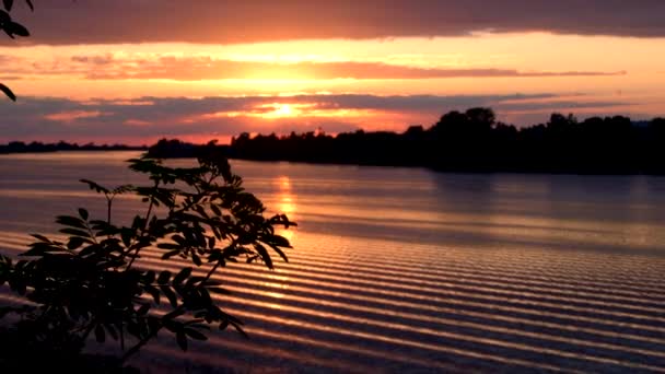 Mooie rustige zonsondergang of zonsopgang panoramisch uitzicht op het water van het meer of de rivier met lucht reflectie — Stockvideo
