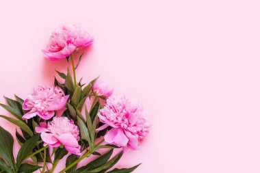 Fotokopi alanı olan pembe şakayık çiçeklerinin üst görüntüsü. Anneler Günü ya da Sevgililer Günü konsepti.