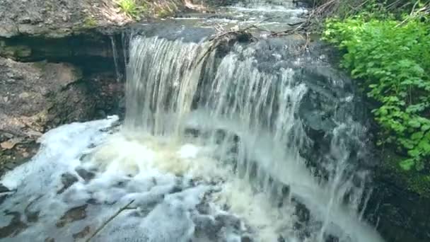 Gros plan d'un rapides d'eau dans une forêt verte. Vue isolée d'une rivière rapide qui coule sur des roches sombres dans une forêt verte humide. — Video
