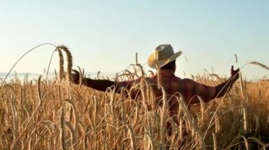 Yaşlı çiftçi büyük buğday hasadıyla mutlu. Gün batımında alan.
