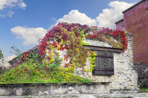 Ventana vieja con lavandería en la ciudad. — Foto de stock © Belikart