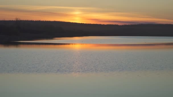 여름날 호수 표면에 비치는 오렌지색 일몰. — 비디오