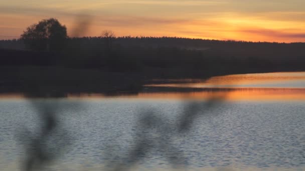 Stranden av sjön i sommar orange solnedgång, fokusera på anläggningen för. — Stockvideo