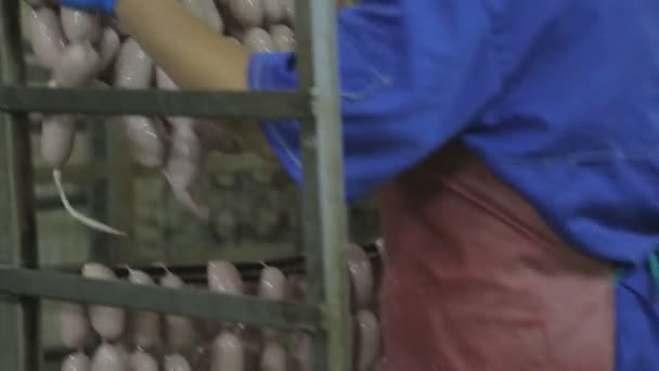 Process of hanging sausages on a meat factory worker dryer. — Stock Video