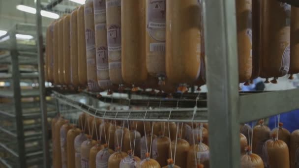 Sausage products distributed on a frame for further processing in shop production close-up. — Stock Video