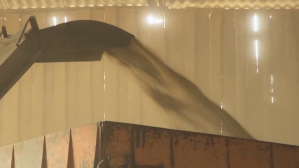 С помощью конвейера зерно поднимается и выпадает в тело для транспортировки . — стоковое видео