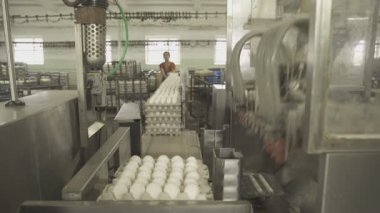Resepsiyon ve sevkiyat yumurta konveyör kapsayıcı için fabrika binası.