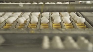 Yumurta closeup aktarmak için emme fincan bir cihazla.