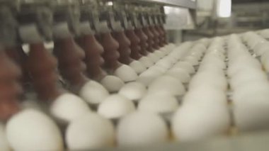 Emme fincan closeup kullanarak yumurta aktarmak için bir aygıt.