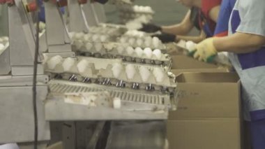 Kadınlar Paketli, Konteynerler yumurta kutusu closeup ile.