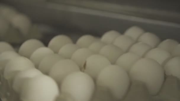 Close-up van werk van vacuüm vrachtwagen voor eieren op transportband. — Stockvideo