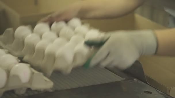 Εργαζόμενος γυναίκα διπλώνει εμπορευματοκιβώτια χαρτονιού με αυγά στο πλαίσιο. — Αρχείο Βίντεο